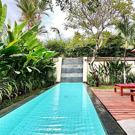 Bali Island Villas And Spa Seminyak Exteriér fotografie
